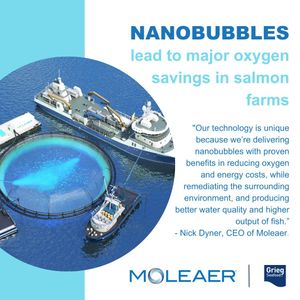 Image post by @moleaer on Instagram