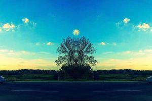 Image post by @_ohheytiff on Instagram