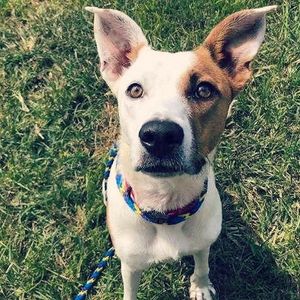 Image post by @wkrntv on Instagram