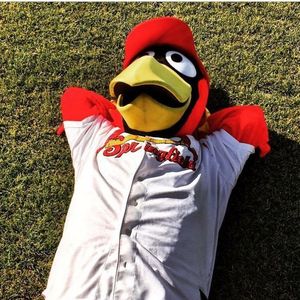 Image post by @springfield_cardinals on Instagram