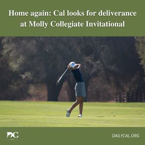 Image post by @dailycalsports on Instagram