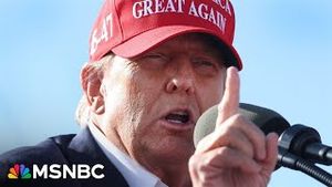 Video post by @msnbc on YouTube