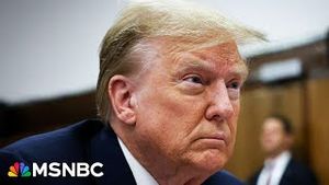 Video post by @msnbc on YouTube