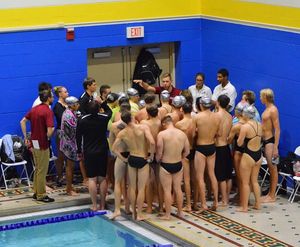 Image post by @arcadia_swim on Instagram