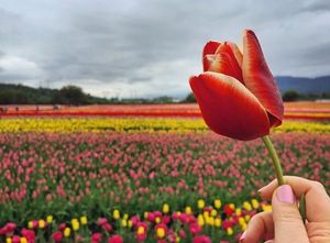 Image post by @tourismabbotsford on Instagram