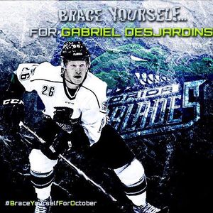 Image post by @fl_everblades on Instagram