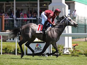 Image post by @breederscup on Instagram