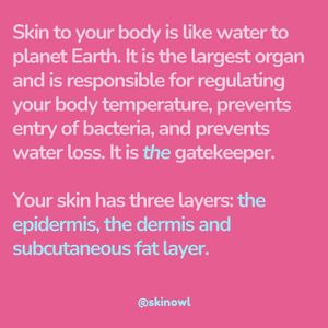 Image post by @skinowl on Instagram