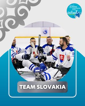 Image post by @paraicehockey on Instagram