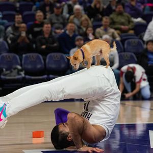 Image post by @uw_mbb on Instagram