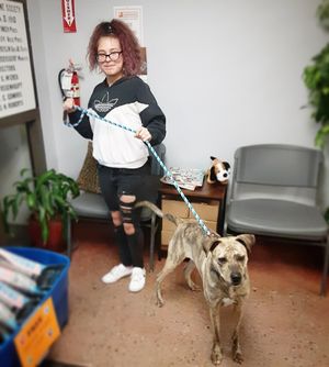 Image post by @spokhumanesoc on Instagram