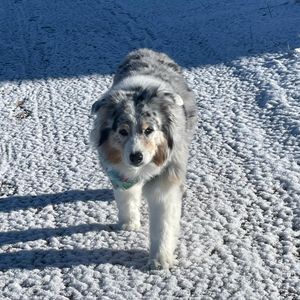 Image post by @bluefuji on Instagram