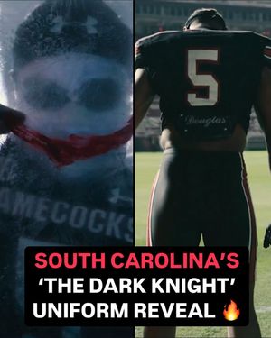 Image post by @secnetwork on Instagram