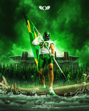 Image post by @goducks on Instagram