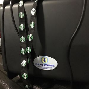 Image post by @seahorsecases on Instagram