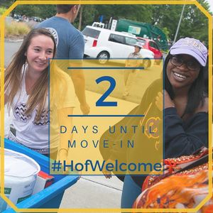 Image post by @hofstrau on Instagram