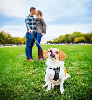 Image post by @roephoto on Instagram