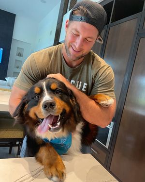Image post by @timtebow on Instagram