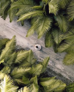 Image post by @dronepals on Instagram
