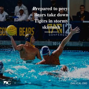 Image post by @dailycalsports on Instagram