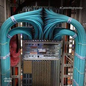 Image post by @cisco on Instagram