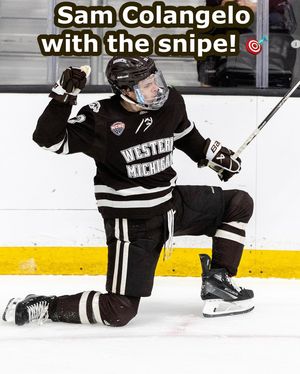 Image post by @everythingcollegehockey on Instagram