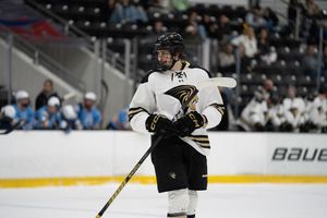 Image post by @luhockey_ncaa on Instagram