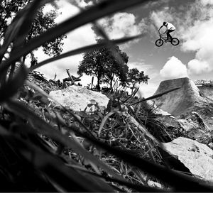 Image post by @woodwardcamp on Instagram