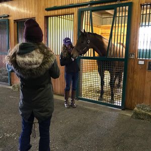 Image post by @spendthriftfarm on Instagram