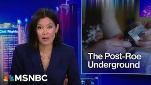 Video post by @msnbc on YouTube