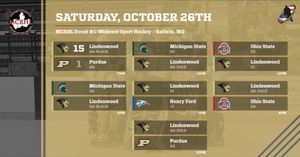 Image post by @lu_rollerhockey on Instagram