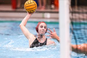 Image post by @indianawpolo on Instagram