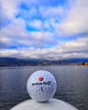 Image post by @wilsongolfcanada on Instagram