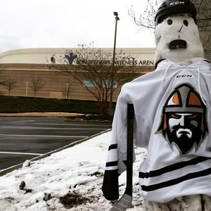 Image post by @swamprabbits on Instagram