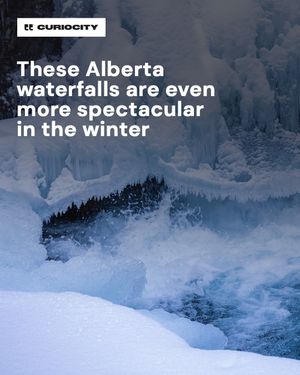 Image post by @curiocitycalgary on Instagram