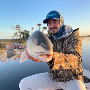 Image post by @toadfishoutfitters on Instagram
