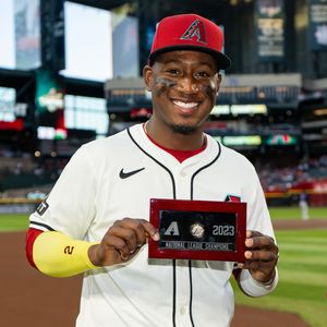 Image post by @dbacksgiveback on Instagram