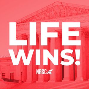 Image post by @nrsc on Instagram