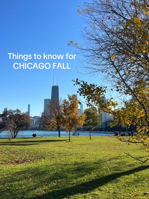 Video post by @chicago.by.ren on TikTok