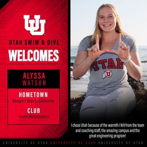 Image post by @utahswimdive on Instagram