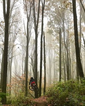 Image post by @tourismabbotsford on Instagram