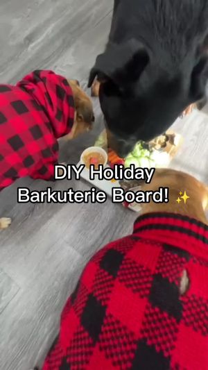 Video post by @bluebuffalo on Instagram
