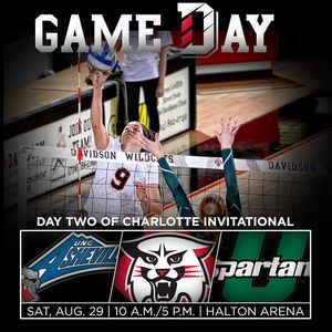 Image post by @davidsonvb on Instagram