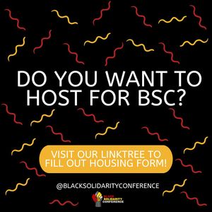 Image post by @blacksolidarityconference on Instagram