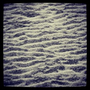 Image post by @roephoto on Instagram