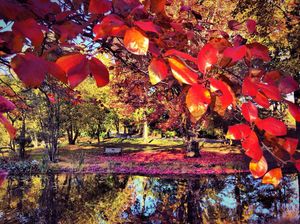 Image post by @fairfieldu on Instagram