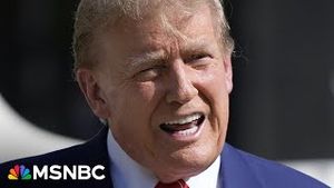 Video post by @msnbc on YouTube