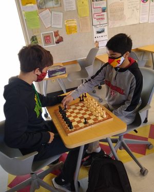 Image post by @palma_school on Instagram