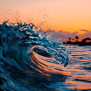 Image post by @olukai on Instagram