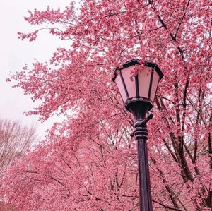 Image post by @udelaware on Instagram